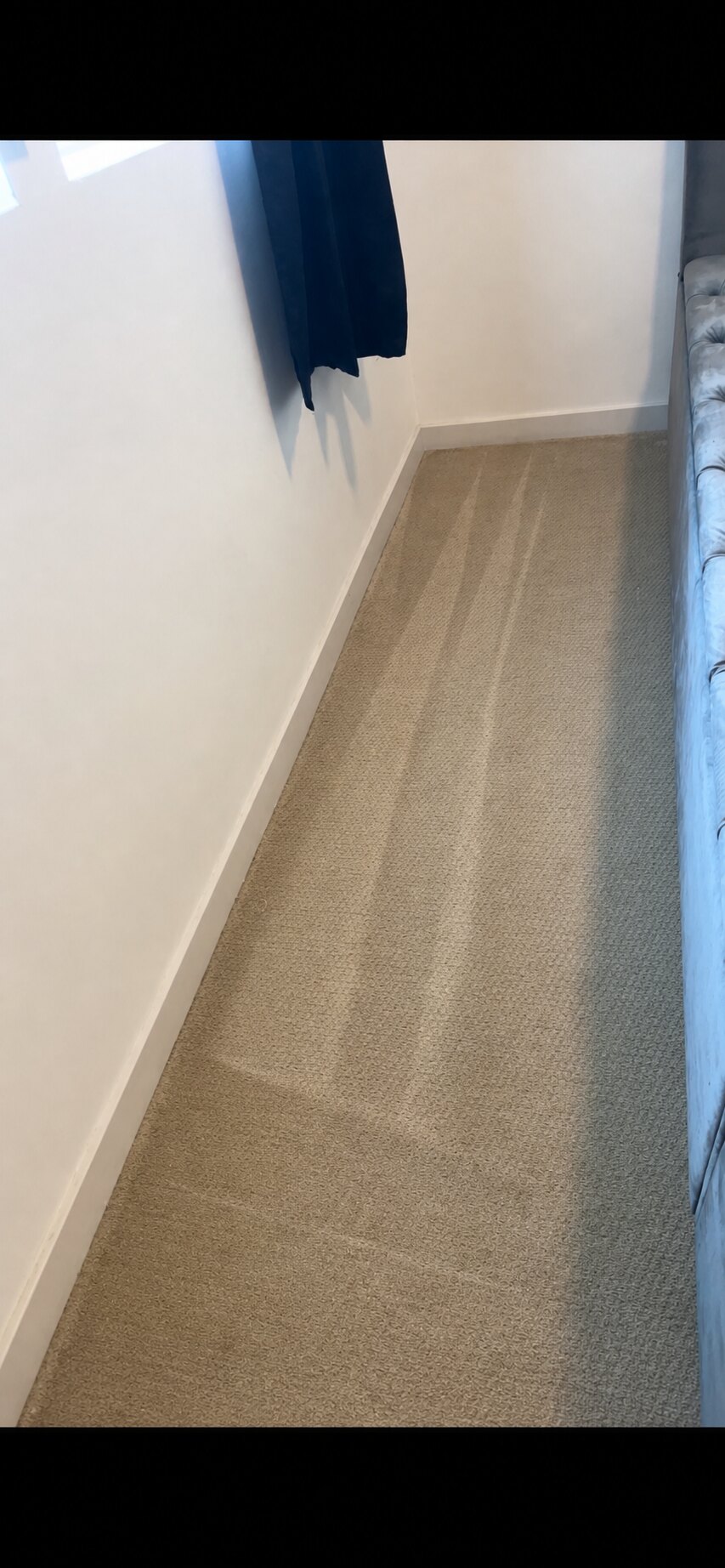 Narrow strip of beige carpet with grooming lines along a wall
